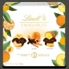 Outlet Choco Fruits, 180g Frucht|Sommer