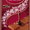 Hot LINDOR Double Chocolate, 100g Tafeln