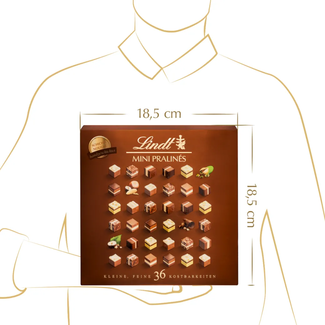 New MINI PRALINÉS Schicht-Nougat, 165g Pralinés|Nuss